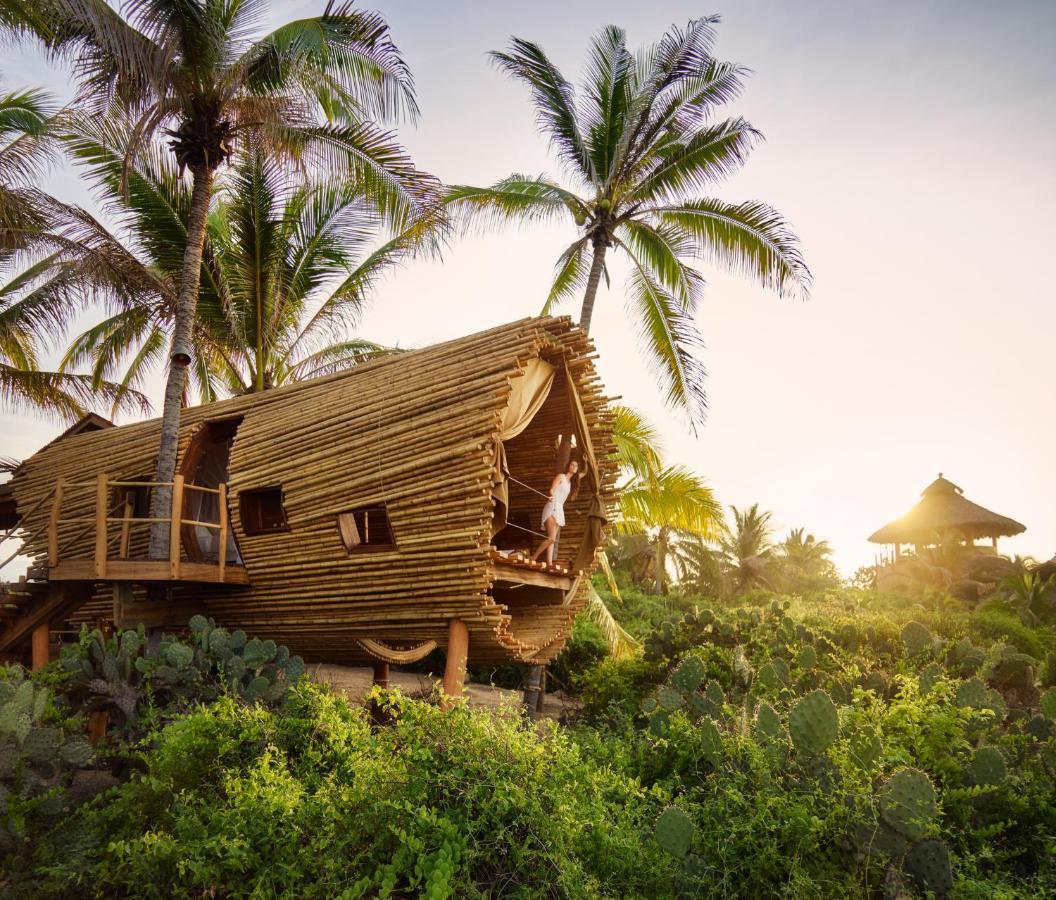 Playa Viva Hotell Juluchuca Eksteriør bilde